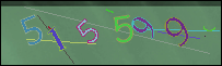 Loading Image