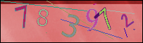 Loading Image