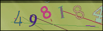 Loading Image