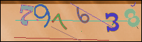 Loading Image